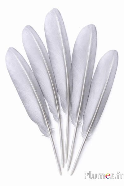 Schwan mit Silberschleier - 30-33 cm - weiss